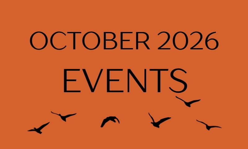 What’s Up In Oct 2026